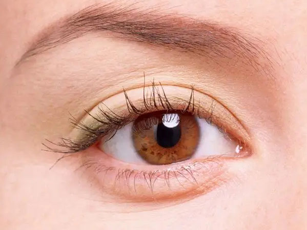 教你如何找到適合自己的眉形